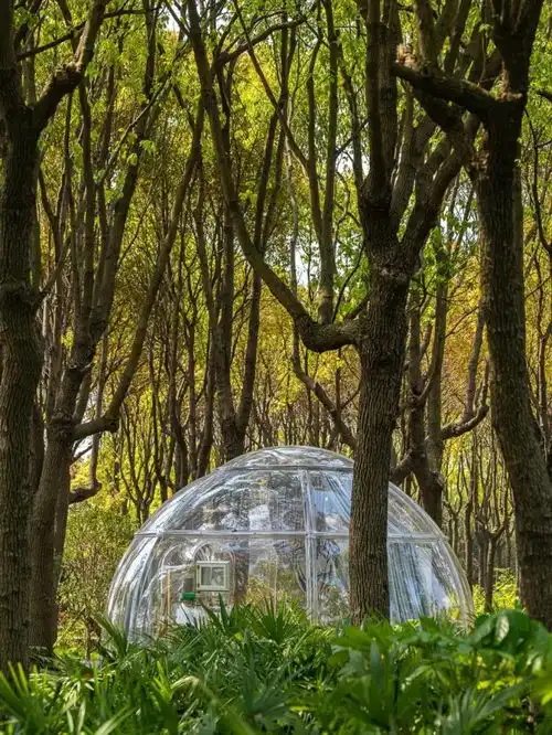 人少景美出片率高魔都这些小众宝藏打卡地要藏不住啦