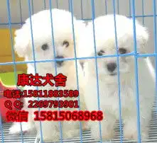 黄页88高清图片