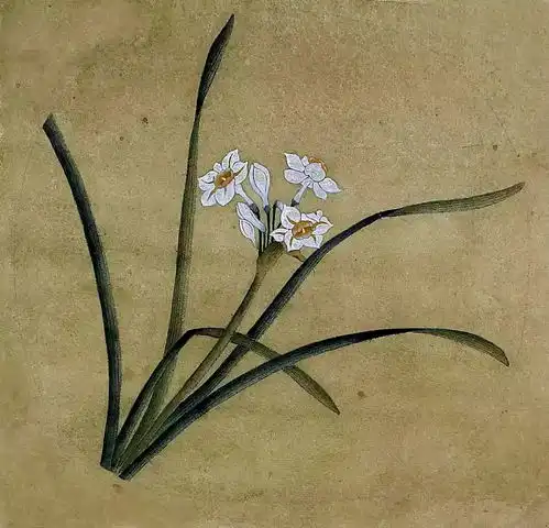 手把手教你画一朵水仙花
