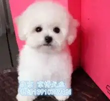 黄页88高清图片