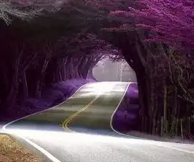 美景这些隧道,去过两个以上算你牛