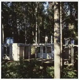 18岁小伙拿500元盖森林小屋60年后建成惊艳全球