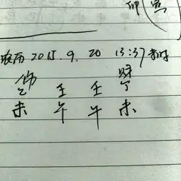 2015年农历九月20出生的女孩,13年37分姓王