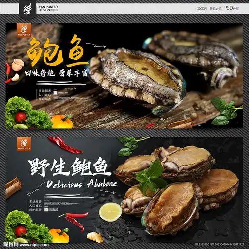 鲍鱼设计图