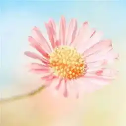 特级教师直言初中三年,死磕这一点,保管孩子成绩无忧