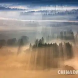 摄影资讯