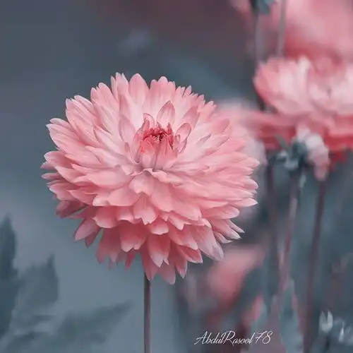 适合早上发的经典语录,句句激励人心,超燃超给力