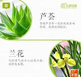 司机朋友看过来,秦皇大街与海阳路交叉口行车规则有调整