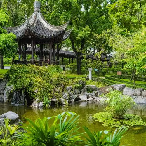 不花钱,我在香港充仙气