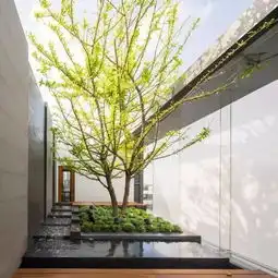 禅意,水景