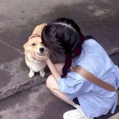 测试一个超长简介的文章