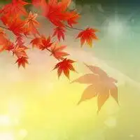 两片红叶子微信头像微信头像图片大全