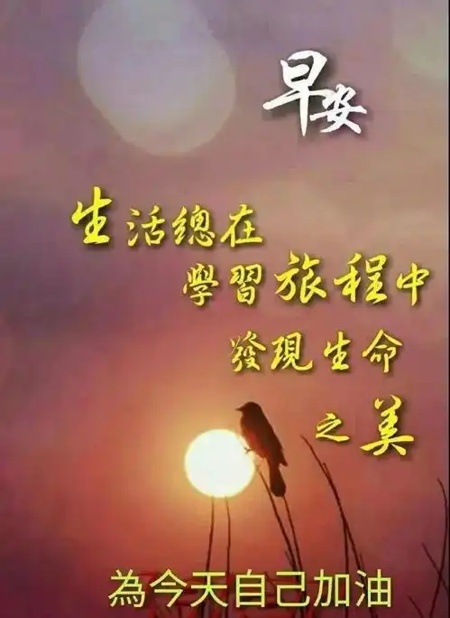 2022清晨早安问候动态表情图片,最美早上好祝福语