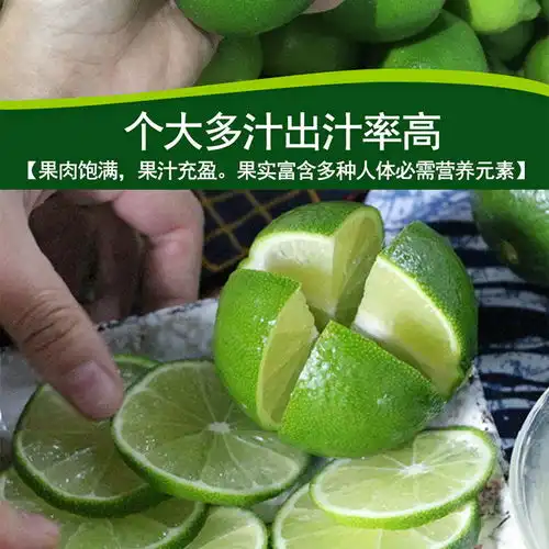 无籽青柠檬皮薄多汁香水柠檬新鲜水果独立包装小青柠