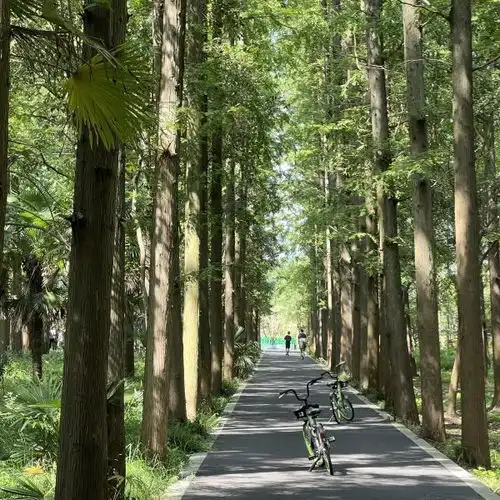东平国家森林公园门票,东平国家森林公园游玩攻略360地图