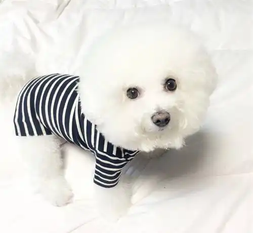测试一个超长简介的文章