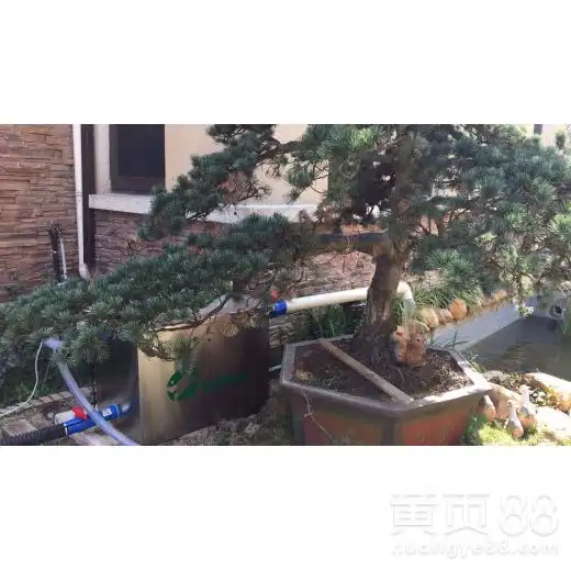 德阳庭院鱼池水过滤哪家比较好卡利净鱼池过滤器-黄页88网