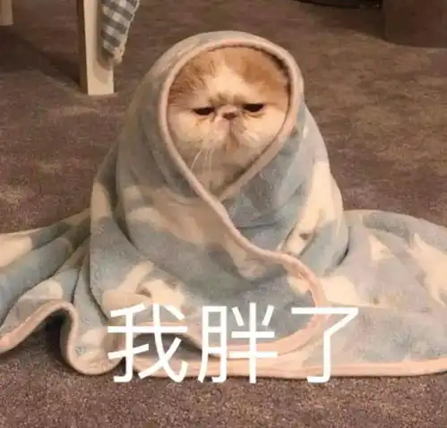100张百看不厌的头像,快点收藏起来