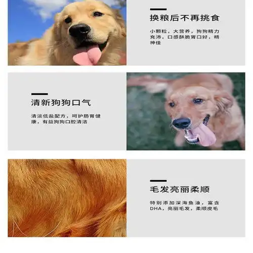 狗粮通用5斤10斤20斤幼犬成犬全阶段泰迪比熊金毛大小型犬粮通用