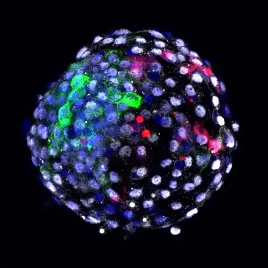 测试一个超长简介的文章