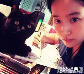 baby鹿晗爱猫,赵丽颖爱狗,明星爱萌宠或许是因为属性相近