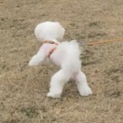 有哪些一看就很明显的情头吗