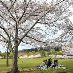 奈良奈良公园攻略,奈良公园undefined梅花鹿公园门票游玩攻略地址图片门票价格