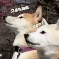 单身表情包