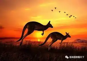 澳大利亚美景一网打尽,精彩不容错过