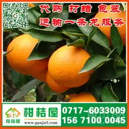 荆州虹云水果特早柑橘销售价格_虹云水果特早柑橘什么价格-黄页88网