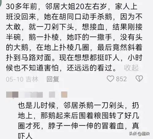你从老一辈口中听过哪些奇闻异事网友分享,大千世界无奇不有