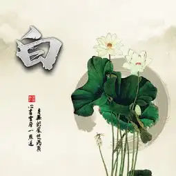 你要换头像了,4款22张百家姓头像姓名头像,一定不要错过了