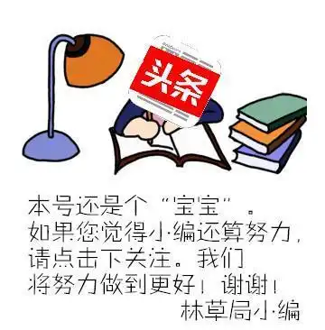 践行两山理念15年来内蒙古好日子从好生态开始