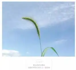 为什么夏天你觉得热,因为你没过对啊
