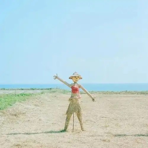 你说这一帧,很有夏天的感觉