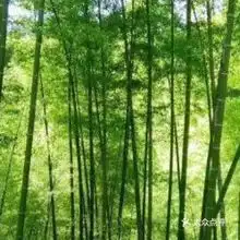 电话,地址,价格,营业时间宣汉县周边游