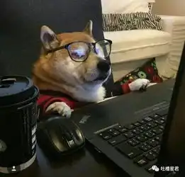 刺激这就是七夕节当天的你