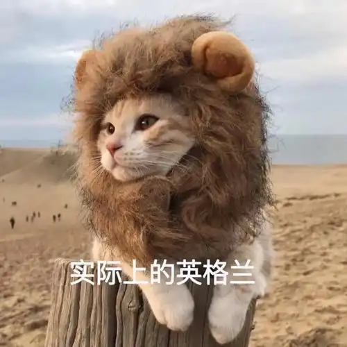 测试一个超长简介的文章