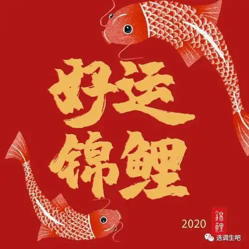 黑龙江定向选调条件及待遇详解