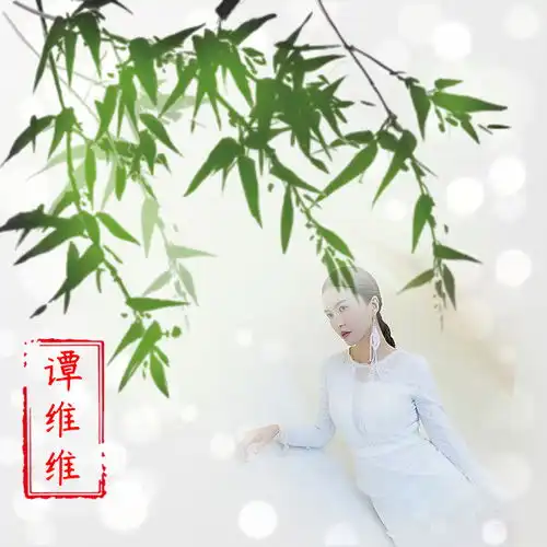 四款精美姓氏头像,如果喜欢就拿去用吧