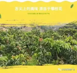 吉禄芒果吃的是阳光的味道