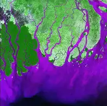 地球也拍艳照啦