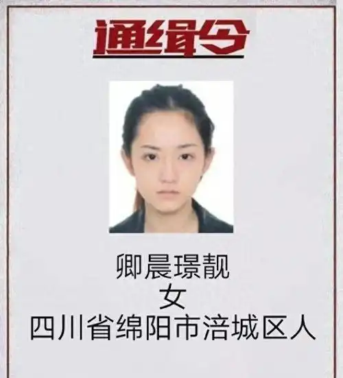 永久封禁最美通缉犯出狱变网红,通缉令当头像,人民日报点名