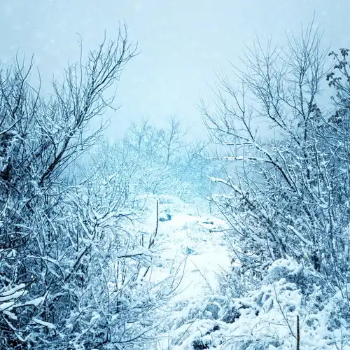 高清冬季冬天雪景自然风景jpg图片摄影图下载至来源处