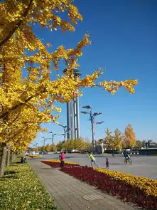 京都秋影三部曲之悲秋西风怨,奥森秋风悲画扇北京奥林匹克森林公园游记