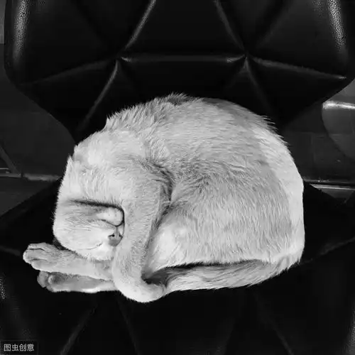 别烦恼,抑郁不抑郁,看这八多八少,一目了然快来对照啊都是很
