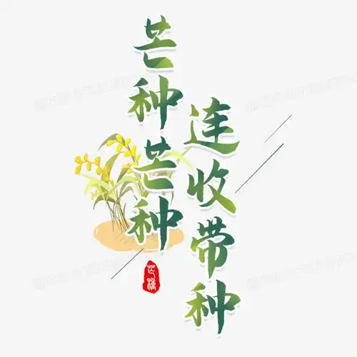 芒种芒种连收带种艺术字png图片素材免费下载艺术png20002000像素熊猫办公