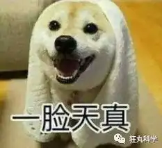 qq,没想到你是这样的企鹅