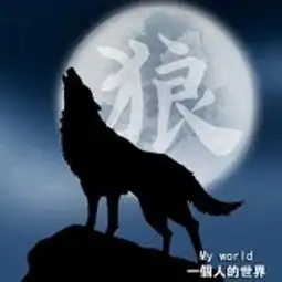 彡孤灬狼的频道优酷视频
