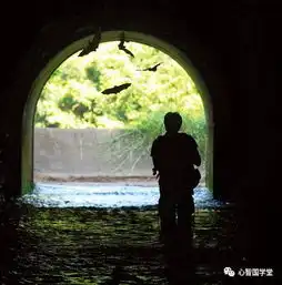 8分钟的演讲告诉我们,宽容原来那么美,看哭了